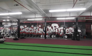 Disciplined Fitness