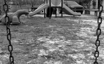 RL Turner park