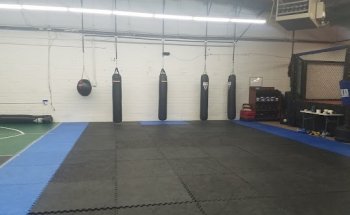 DTF Mixed Martial Arts