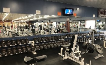 NIP Fitness - South