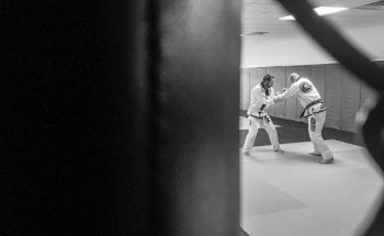 American Killer Bees Fitness