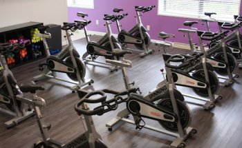 Fitness Balanced- Women's Only
