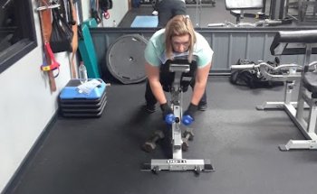 Elite Health Club - Mosinee