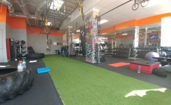 Cure Fitness