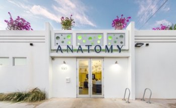 Anatomy