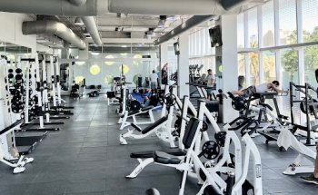 Circuit Academy