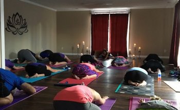 Dogwood Yoga