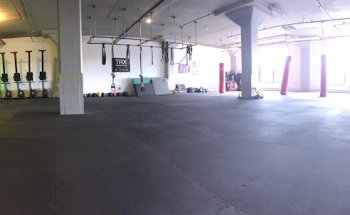 The Fitness Asylum