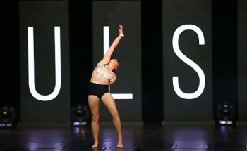 Z Company Arts