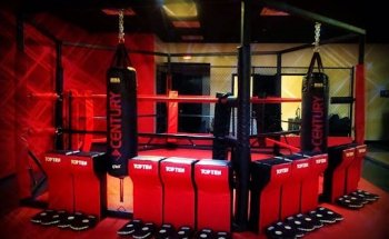 Maddox Muay Thai