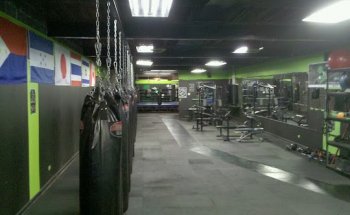 Bone Breaker Gym