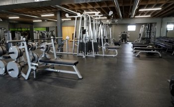 The Complex