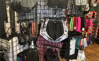 Fit.1