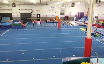 New Era Gymnastics
