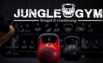 Jungle Gym