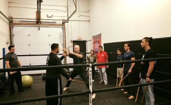 Top Level MMA