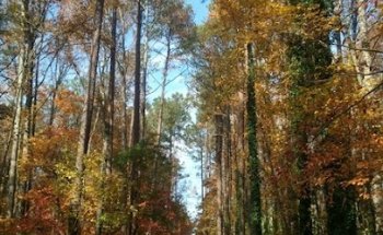Bergen Rd North Augusta Greeneway Parking