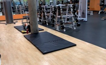 BodyWise Fitness