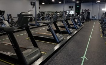 Sonoma Fit Novato