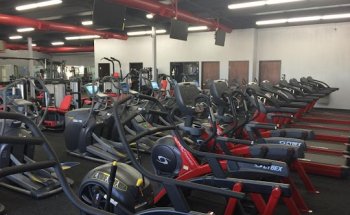 FoxFitness
