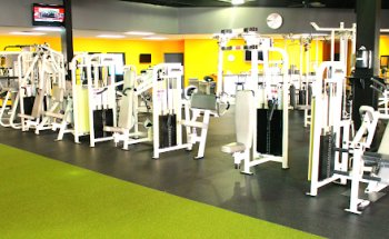Contour Fitness