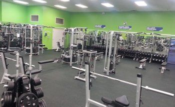 Zone Fitness Clubs Carrollwood