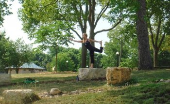 Tammy Z's Yoga School