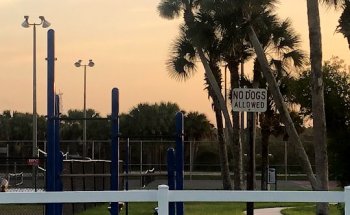 Outdoor Workout Ground Bar