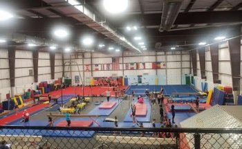 Gym-Nest
