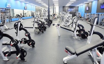 Amped Fitness Gym St Petersburg Fl