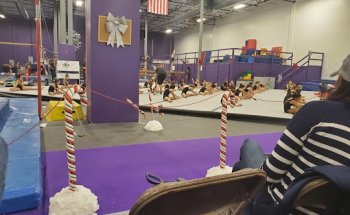 Platinum Gymnastics Academy