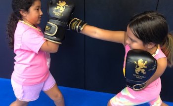 Rothwell Mixed Martial Arts