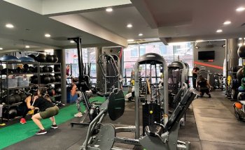 Fit Results