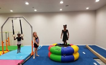 TNT Gymnastics, LLC (PDC)