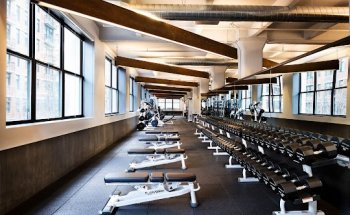 Equinox Dumbo