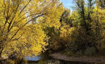 Provo River Trail Parking #3