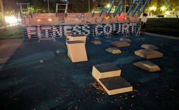Roosevelt Park Fitness Court