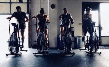 STOUT Strength and Conditioning