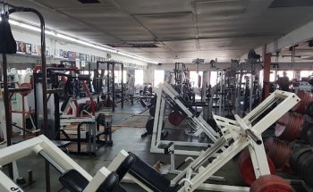 Stern's Gym Inc