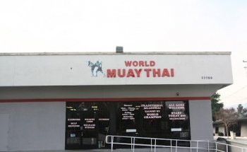 World Muay Thai