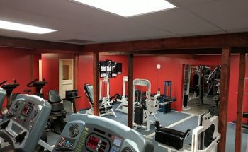 Alvin's Gym