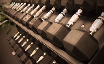 WellNest Studios- Fitness & Wellness LLC