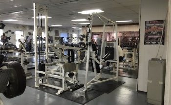 Body Builders Inc