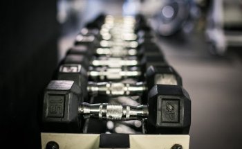 The Gym Show Low