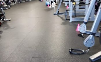 B1 Elite Fitness