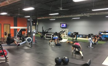 FIT 10 Performance