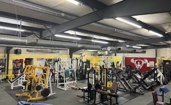 THE FREE WEIGHT GYM