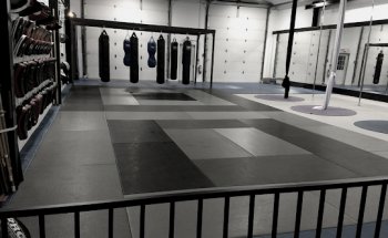 MX Gym