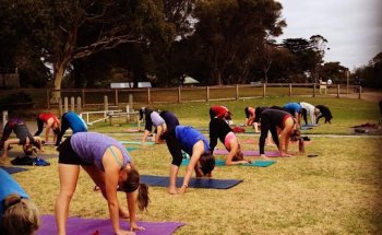 Yoga in the Park