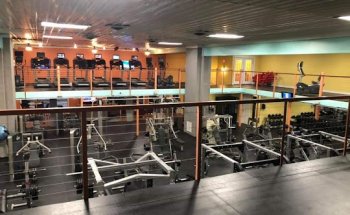 Gym Nation